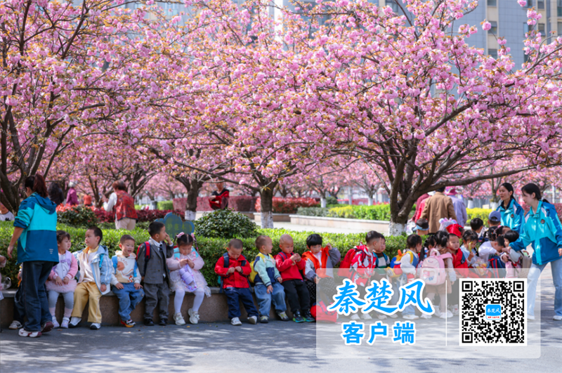 微信图片_20260417144717_副本