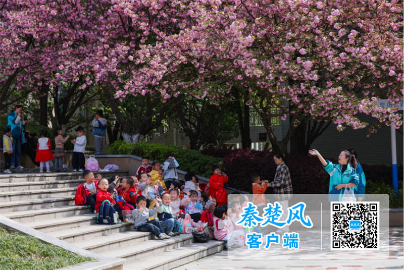 微信图片_20260417144644_副本